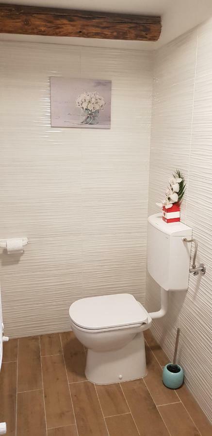 ブイェ Casa Istriaヴィラ エクステリア 写真