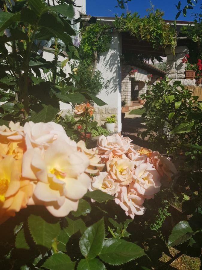 ブイェ Casa Istriaヴィラ エクステリア 写真